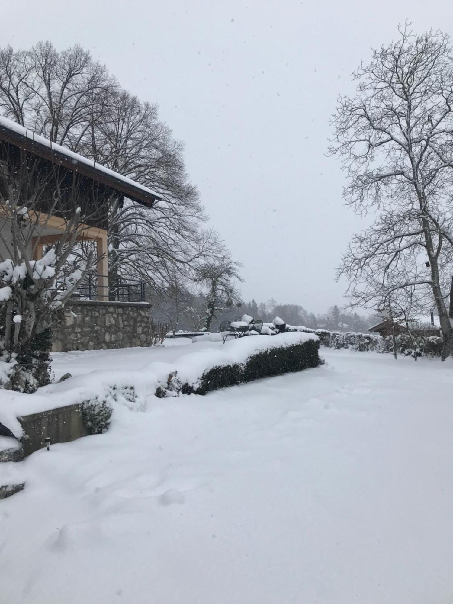 Westerbuchberg *